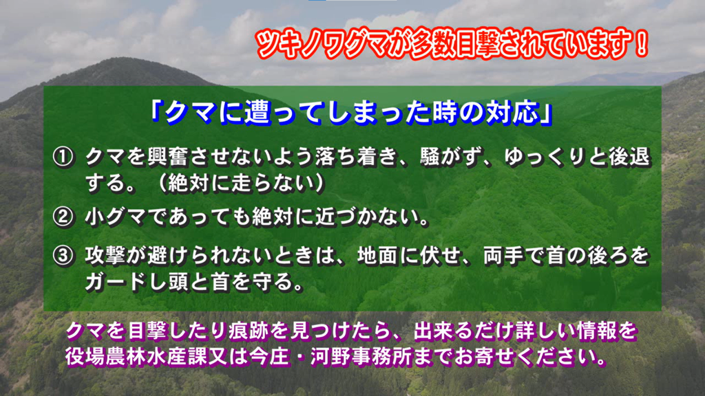 文字放送4