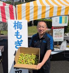 河野梅まつり